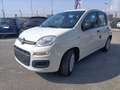 Fiat Panda 1.0 FireFly S&S Hybrid PREZZO REALE Wit - thumbnail 3