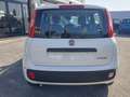 Fiat Panda 1.0 FireFly S&S Hybrid PREZZO REALE Wit - thumbnail 6