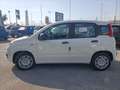 Fiat Panda 1.0 FireFly S&S Hybrid PREZZO REALE Wit - thumbnail 4