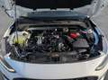 Ford Focus Turnier 1.0 EcoBoost Hybrid ST-LINE Weiß - thumbnail 21