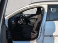 Ford Focus Turnier 1.0 EcoBoost Hybrid ST-LINE Weiß - thumbnail 9