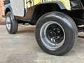 Jeep DJ5 (HERMAN BROOD) Canvas cab. 3.8 DJ Cabriolet - thumbnail 13