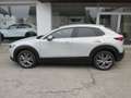 Mazda CX-30 e-Skyactive G150 Exclusive-Line Weiß - thumbnail 7