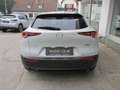 Mazda CX-30 e-Skyactive G150 Exclusive-Line Weiß - thumbnail 5