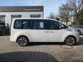 Hyundai STARIA 9-Sitzer (MY25) HEV 1.6 T-GDI TREND 2WD Weiß - thumbnail 6
