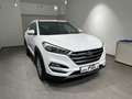 Hyundai TUCSON Tucson 1,7 CRDI Start-Stopp Go Blanc - thumbnail 2