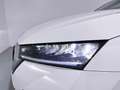 Skoda Octavia 2.0TDI Ambition 110kW Weiß - thumbnail 10