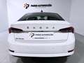 Skoda Octavia 2.0TDI Ambition 110kW Weiß - thumbnail 6