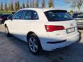 Audi Q5 Q5 II 2017 40 2.0 tdi quattro 190cv s-tronic Weiß - thumbnail 6