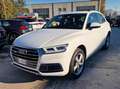 Audi Q5 Q5 II 2017 40 2.0 tdi quattro 190cv s-tronic Weiß - thumbnail 3