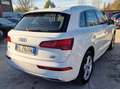 Audi Q5 Q5 II 2017 40 2.0 tdi quattro 190cv s-tronic Weiß - thumbnail 5