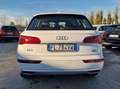 Audi Q5 Q5 II 2017 40 2.0 tdi quattro 190cv s-tronic Weiß - thumbnail 7