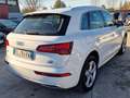 Audi Q5 Q5 II 2017 40 2.0 tdi quattro 190cv s-tronic Weiß - thumbnail 8