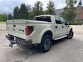 Ford F 150 Svt Beige - thumbnail 8