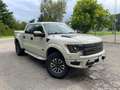 Ford F 150 Svt Beige - thumbnail 6