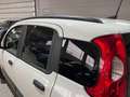 Fiat Panda 1.0 Hybrid City Cross 5 POSTI/VETRI SCURI/FENDI Blanc - thumbnail 7