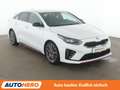 Kia ProCeed / pro_cee'd 1.6 TGDI GT Aut*NAVI*LED*ACC*CAM*PDC*SHZ*KLIMA* Weiß - thumbnail 8