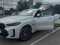 BMW X6 X6 xDrive30d 48V Aut. Weiß - thumbnail 11