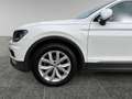 Volkswagen Tiguan 2.0 TDI 150 FAP BlueMotion Carat Weiß - thumbnail 24