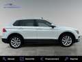 Volkswagen Tiguan 2.0 TDI 150 FAP BlueMotion Carat Weiß - thumbnail 3