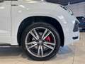 SEAT Ateca 2.0 TDI FR UNICO PROPRIETARIO PRONTA IN SEDE Bianco - thumbnail 17