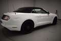 Ford Mustang 5.0 Ti-VCT V8 307kW  GT A.(Conv.) Blanco - thumbnail 18