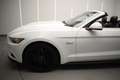 Ford Mustang 5.0 Ti-VCT V8 307kW  GT A.(Conv.) Blanco - thumbnail 10