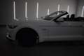 Ford Mustang 5.0 Ti-VCT V8 307kW  GT A.(Conv.) Blanco - thumbnail 31