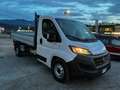 Fiat DUCATO 2.3 MJT 160CV CASSONE RIBALTABILE Weiß - thumbnail 6