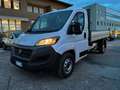 Fiat DUCATO 2.3 MJT 160CV CASSONE RIBALTABILE Weiß - thumbnail 8