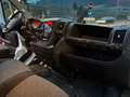Fiat DUCATO 2.3 MJT 160CV CASSONE RIBALTABILE Weiß - thumbnail 13