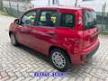 Fiat Panda PROMO FINANZ.PANDINA 1.0  Hybrid  KM  0 Rosso - thumbnail 6