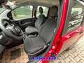 Fiat Panda PROMO FINANZ.PANDINA 1.0  Hybrid  KM  0 Rosso - thumbnail 12