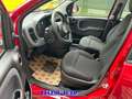 Fiat Panda PROMO FINANZ.PANDINA 1.0  Hybrid  KM  0 Rosso - thumbnail 11