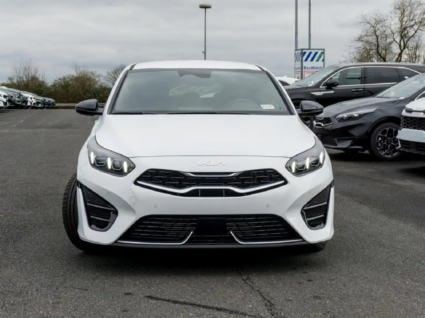Kia ProCeed / pro_cee'd ProCeed 1.5T DCT GT-Line Navi Kamera ACC JBL Wit - 2