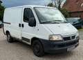 Fiat Ducato 2.0 JTD Dynamic Radstand 2850 Weiß - thumbnail 10