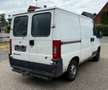 Fiat Ducato 2.0 JTD Dynamic Radstand 2850 Weiß - thumbnail 8