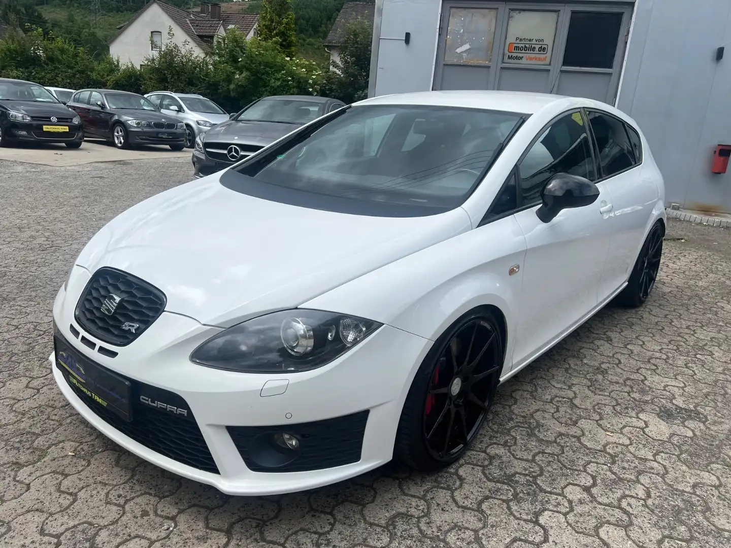 SEAT Leon Cupra R *H&R*BULX* Blanc - 1