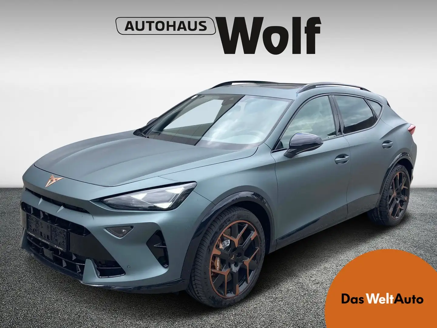 CUPRA Formentor VZ 2.0 TSI 333 PS DSG 4Drive Grau - 1