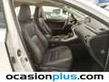 Lexus NX 300 300h Executive 4WD Tecno + Navibox Blanco - thumbnail 23