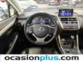 Lexus NX 300 300h Executive 4WD Tecno + Navibox Blanco - thumbnail 26
