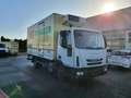 Iveco Eurocargo 80E18 Euro 5 | Tiefkühler | Ladebordwa - thumbnail 3