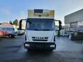 Iveco Eurocargo 80E18 Euro 5 | Tiefkühler | Ladebordwa - thumbnail 2