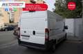 Fiat Ducato Ducato 33 2.3 MJT 150CV Automatico Unicopr White - thumbnail 11