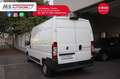 Fiat Ducato Ducato 33 2.3 MJT 150CV Automatico Unicopr White - thumbnail 13