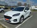 Ford Kuga Kuga 2,5 Duratec PHEV ST-Line X Aut. ST-Line X Weiß - thumbnail 1