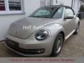 Volkswagen Beetle 1.2TSI Allstar Plus Xenon LED Kamera SHZ Argent - thumbnail 7