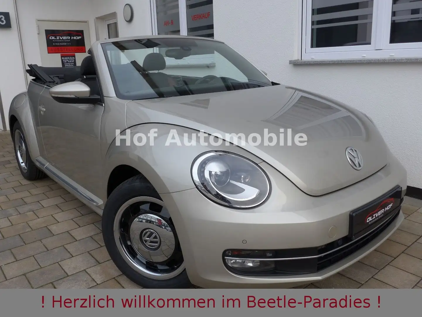 Volkswagen Beetle 1.2TSI Allstar Plus Xenon LED Kamera SHZ Argent - 1
