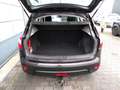Nissan Qashqai 1.6 Acenta Clima/Cruise/Trekhaak!! Paars - thumbnail 11