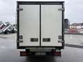 Iveco Daily 35C14 Frigo FRCX -20°C ATP 03 2028 380V kg 720 Bianco - thumbnail 5